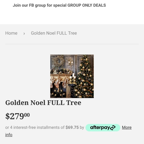 PHOTO BACKDROP - Picture 2 of 2